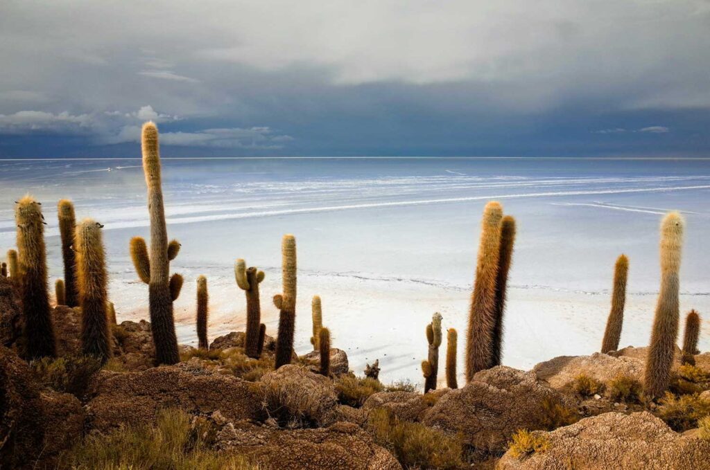 Uyuni bolivia
