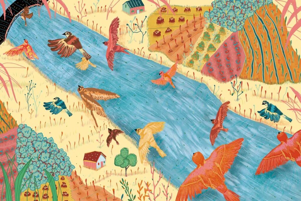 Artistas colombianas para seguirles la pista en 2022 Artistas colombianas