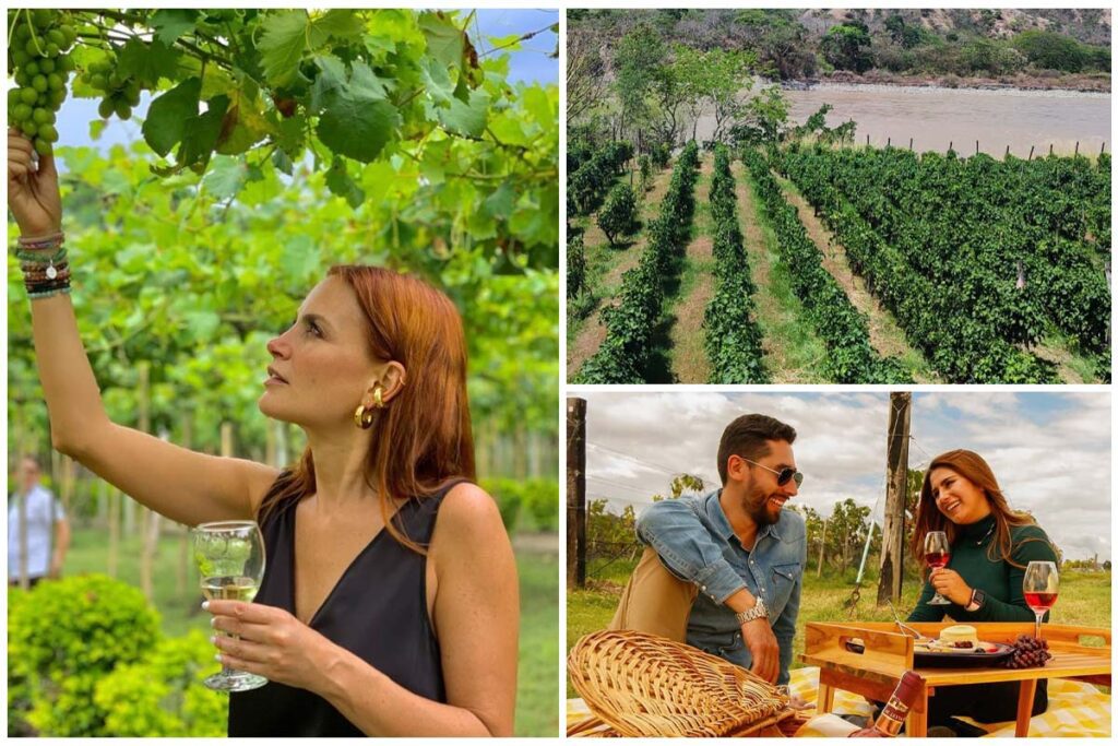 Tres destinos en colombia para disfrutar del vino nacional Vinos en colombia