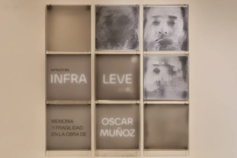 La sombra como arte, sueño y cine: nuevo ciclo expositivo de mambo para agosto