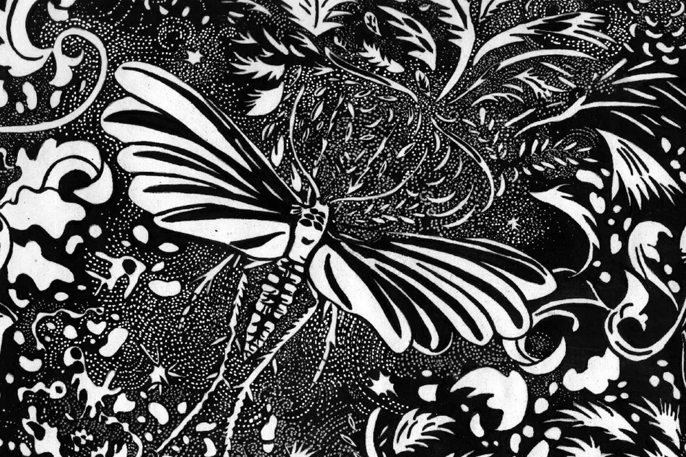 La sombra como arte, sueño y cine: nuevo ciclo expositivo de mambo para agosto