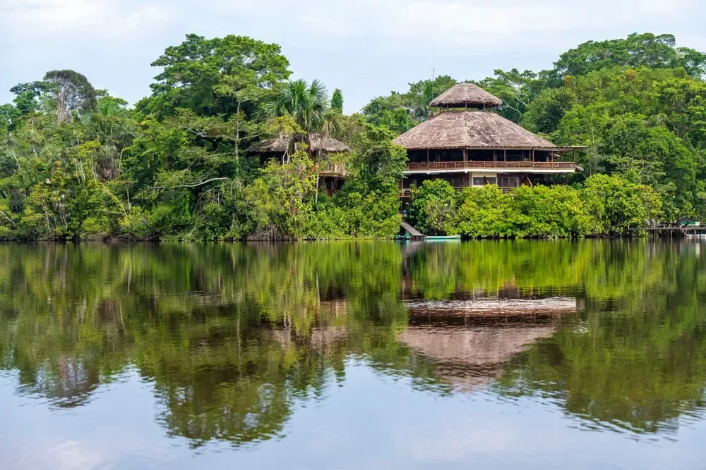 5 bosques tropicales para visitar en colombia