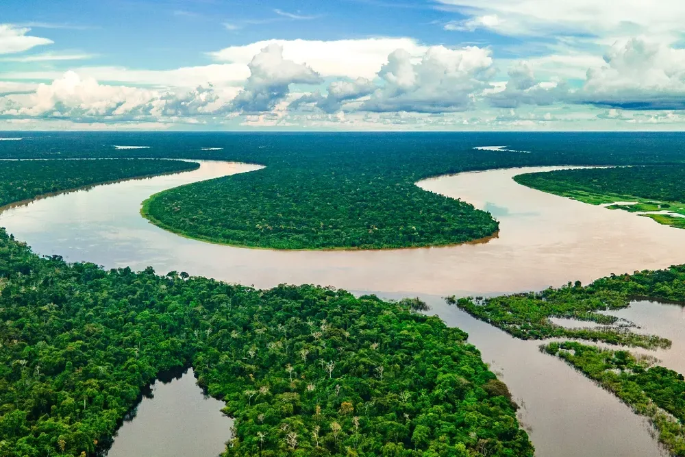 5 bosques tropicales para visitar en colombia