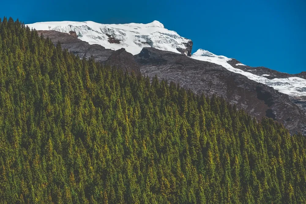 ¿cuáles son los 6 glaciares nevados que quedan en colombia? ¿cuáles son los 6 glaciares nevados que quedan en colombia?