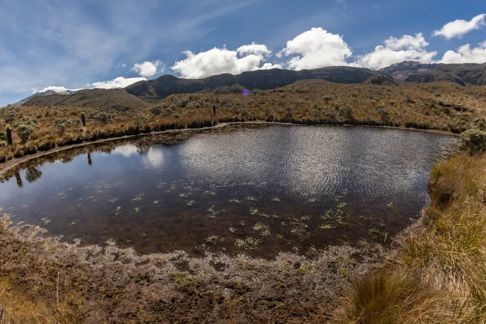 ¿cuáles son los 6 glaciares nevados que quedan en colombia? ¿cuáles son los 6 glaciares nevados que quedan en colombia?