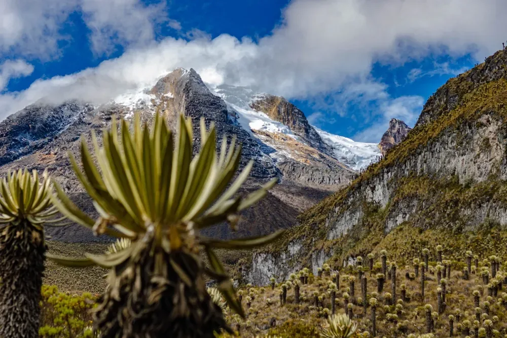 ¿cuáles son los 6 glaciares nevados que quedan en colombia? ¿cuáles son los 6 glaciares nevados que quedan en colombia?