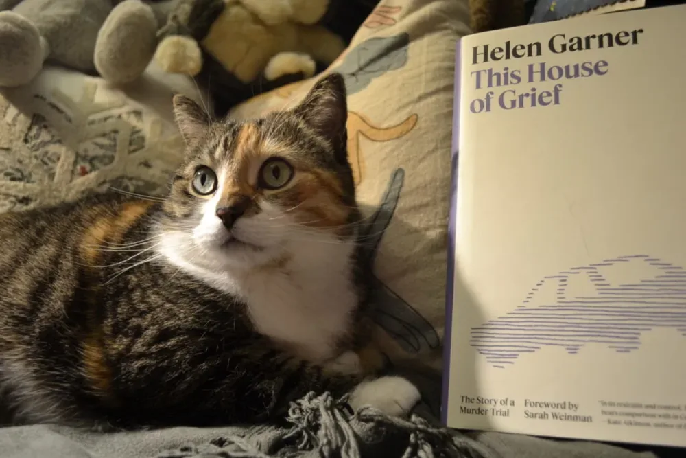 Estos son los libros que dua lipa, dakota johnson y natalie portman recomiendan leer