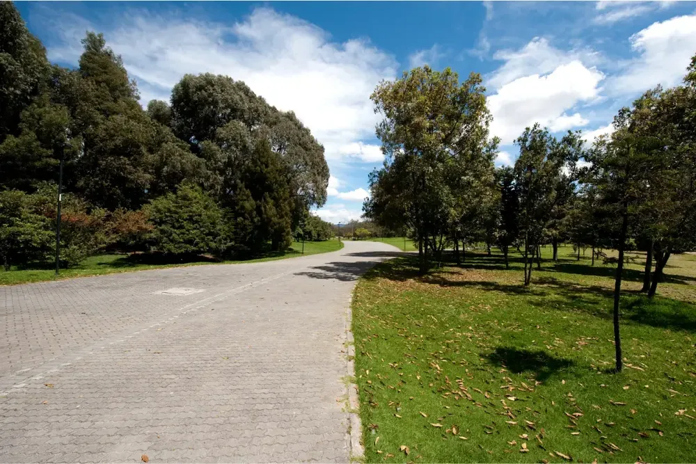 Estos son los mejores parques para volar cometa este agosto en bogotá