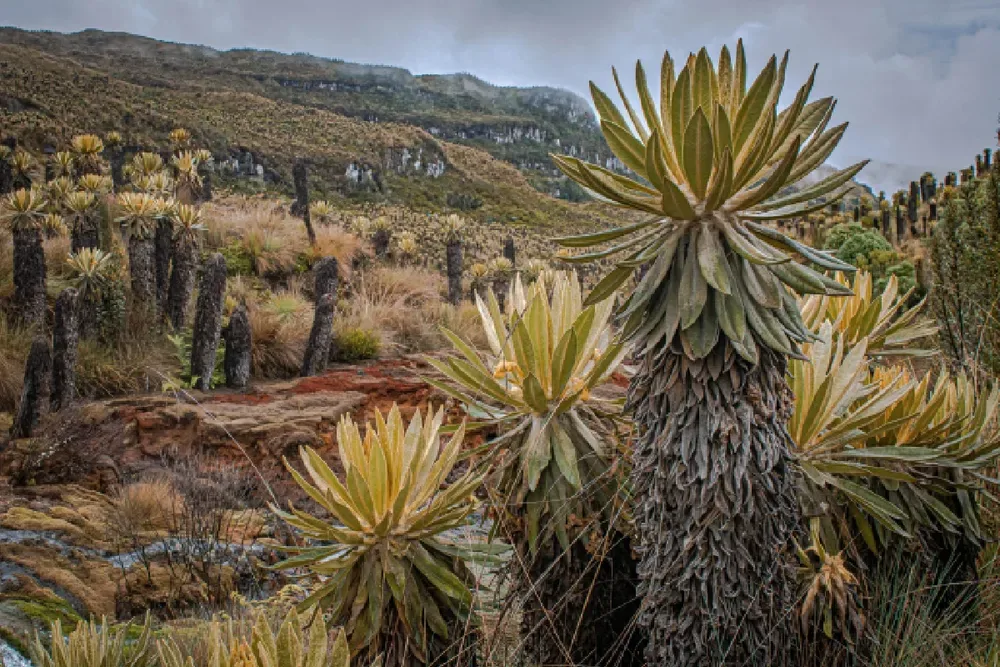 ¿Por qué fue elegido Murillo, Tolima, como uno de los Mejores Pueblos Turísticos del Mundo por la ONU?