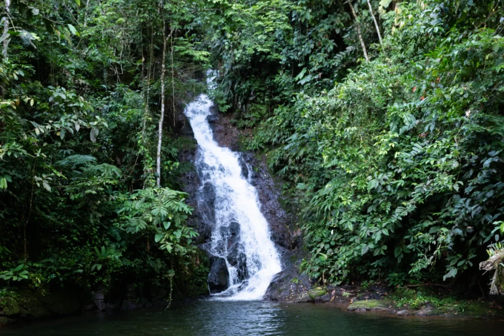 De zona de guerra a paraíso ecoturístico: la belleza del caquetá