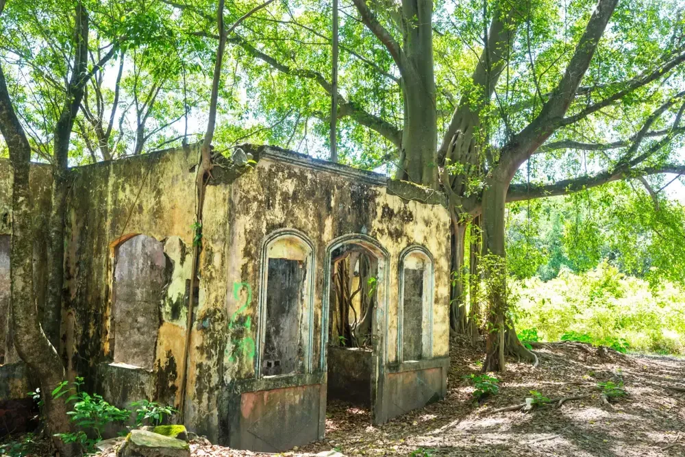 Armero: 40 años después, la ciencia revela lo que no sabíamos