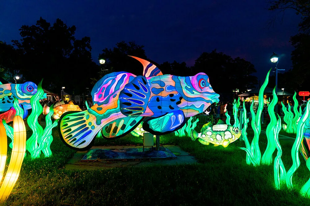 Alumbrado navideño en bogotá