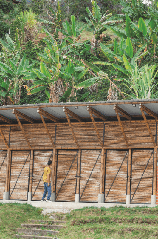Arquitectura que siembra futuro: la guadua como motor de cambio en el cauca Arquitectura