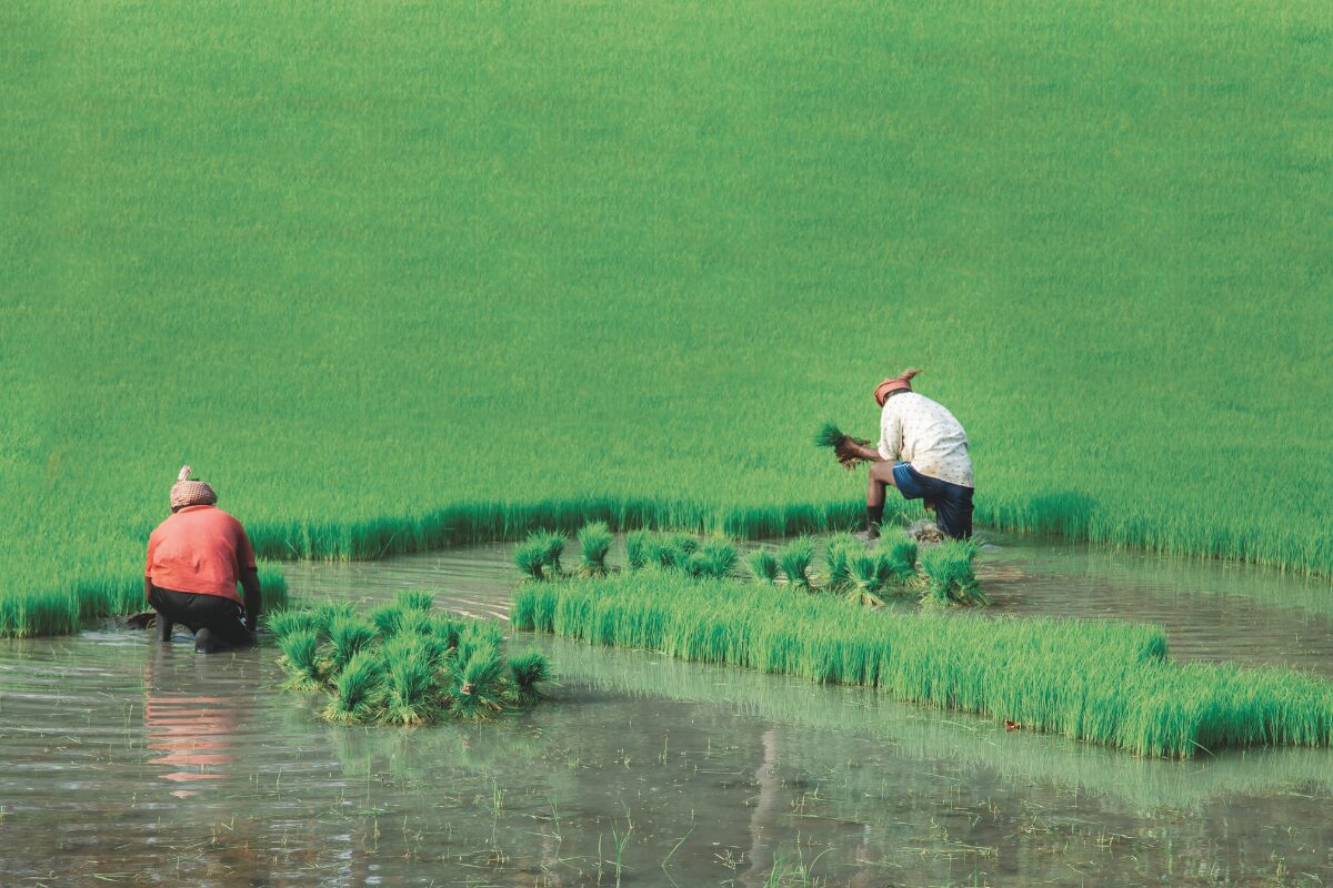Kerala