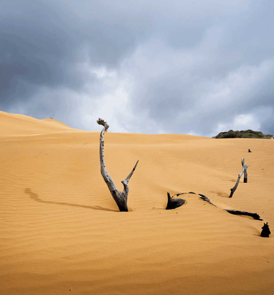 Viaje a la alta guajira: guía de turismo, dunas y cultura wayú Dunas