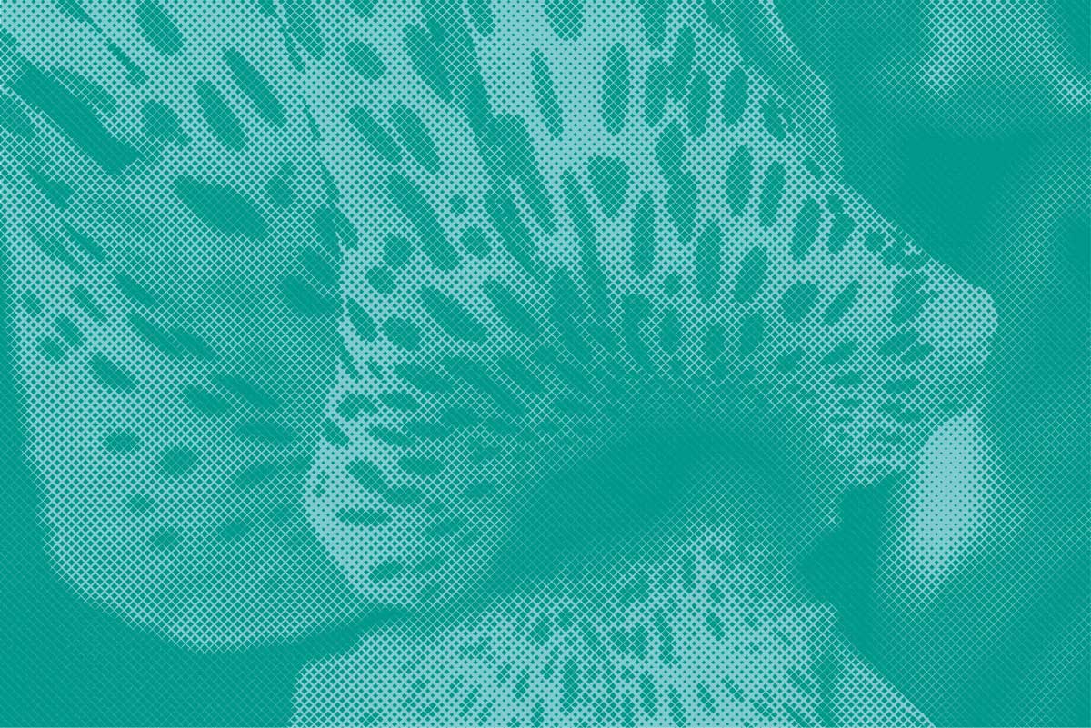 Fin de semana artbo 2026