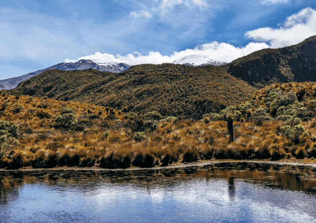 Caldas florece entre las nubes: la reinvención del departamento biodiverso que lo tiene todo por descubrir Caldas