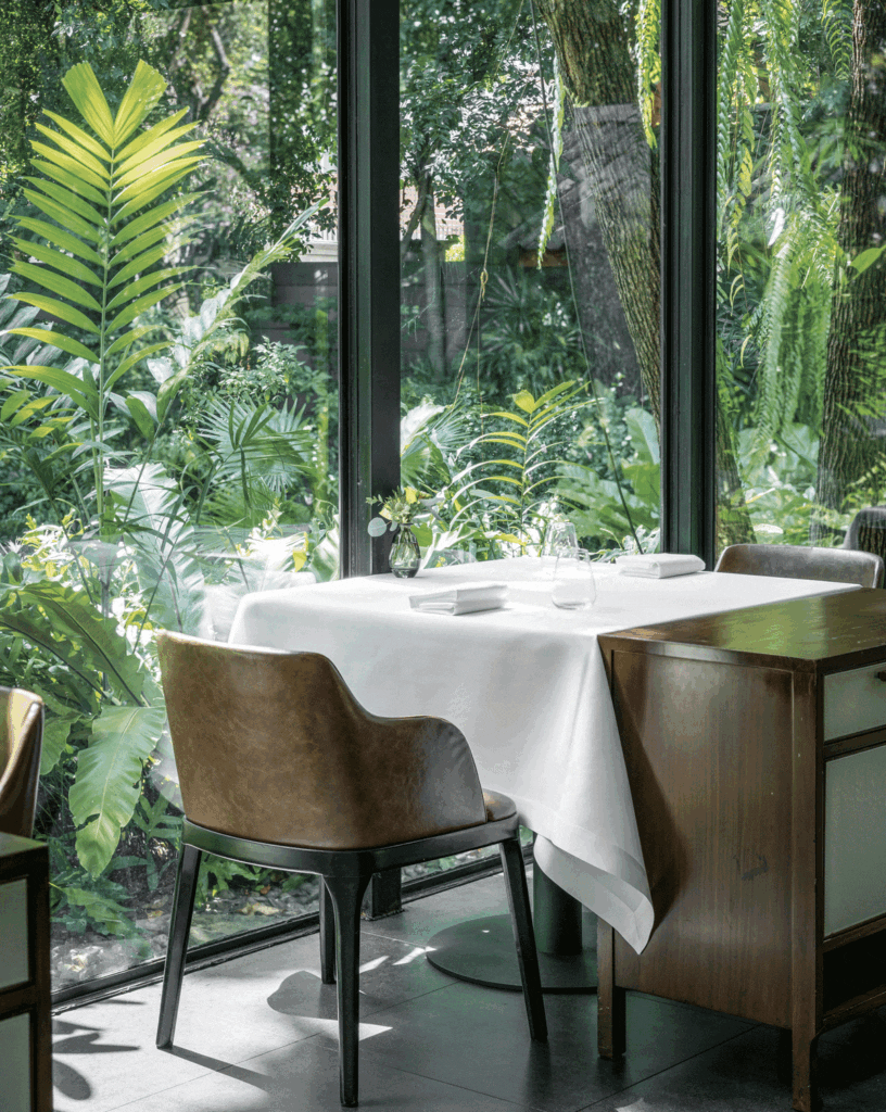 Sühring: los gemelos que reinventaron la cocina alemana en tailandia y conquistaron las 3 estrellas michelin El 27 de noviembre de 2025, sühring recibió su tercera estrella michellin.