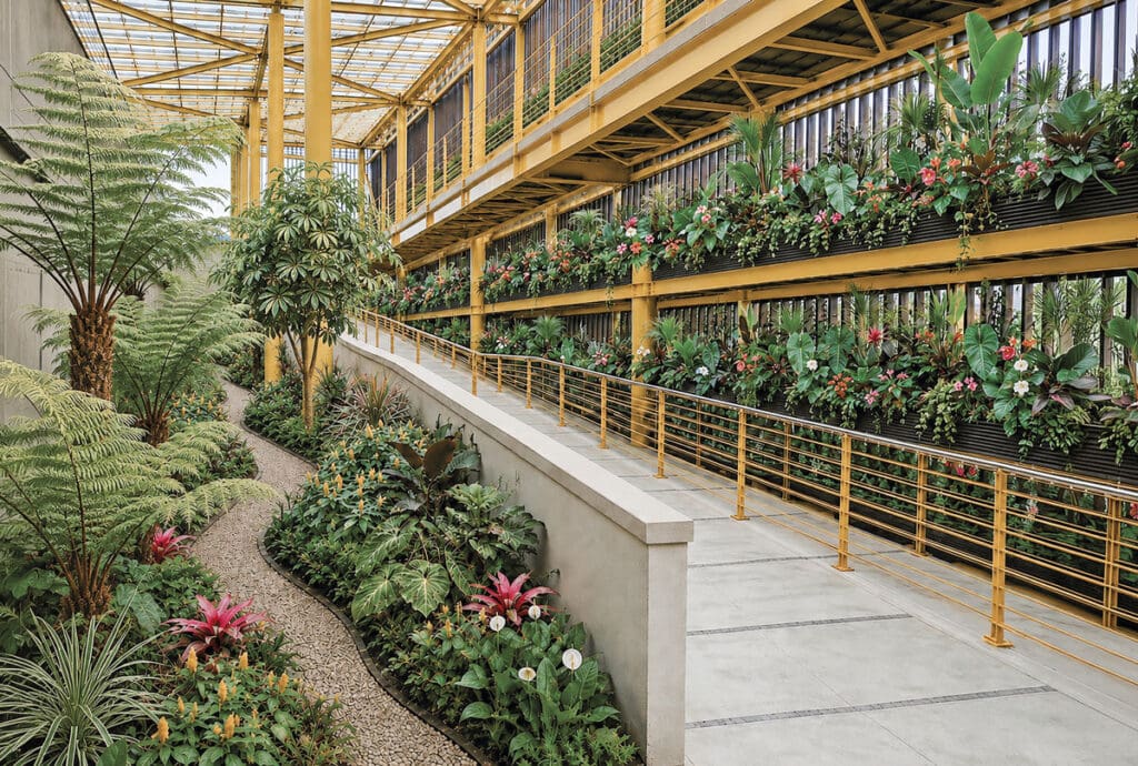 Jardines que construyen ciudad: la metamorfosis de paseo villa del río a paseo florece Paseo florece