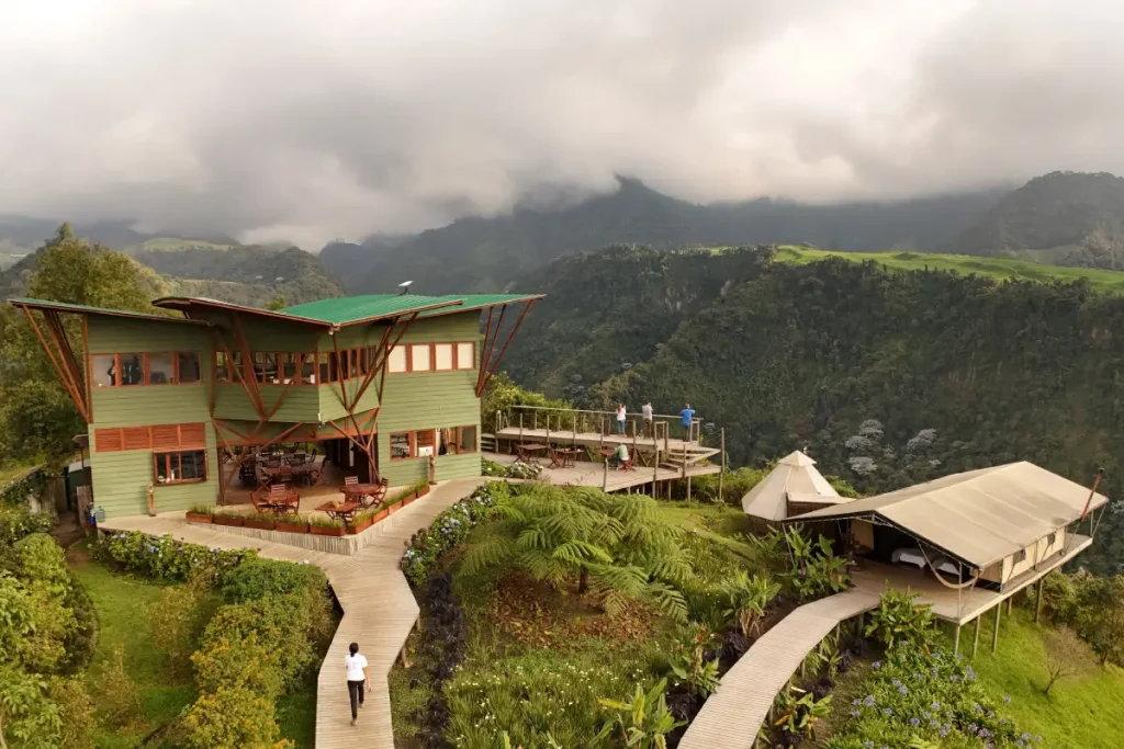 Más allá del café: una ruta única hacia el verdadero corazón del eje cafetero Eje cafetero