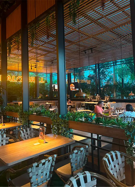 carnes argentinas, Buffalo Grill