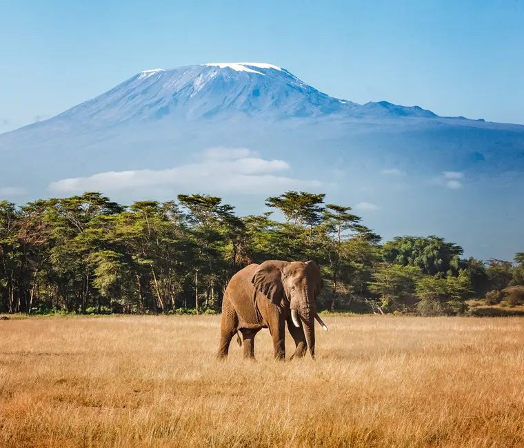 Kilimanjaro, Tanzania