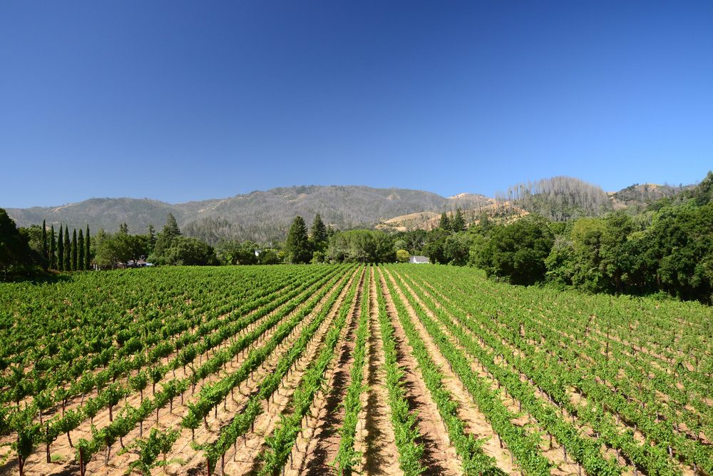 Destino romántico: 9 mejores lugares para viajar en pareja Napa valley
