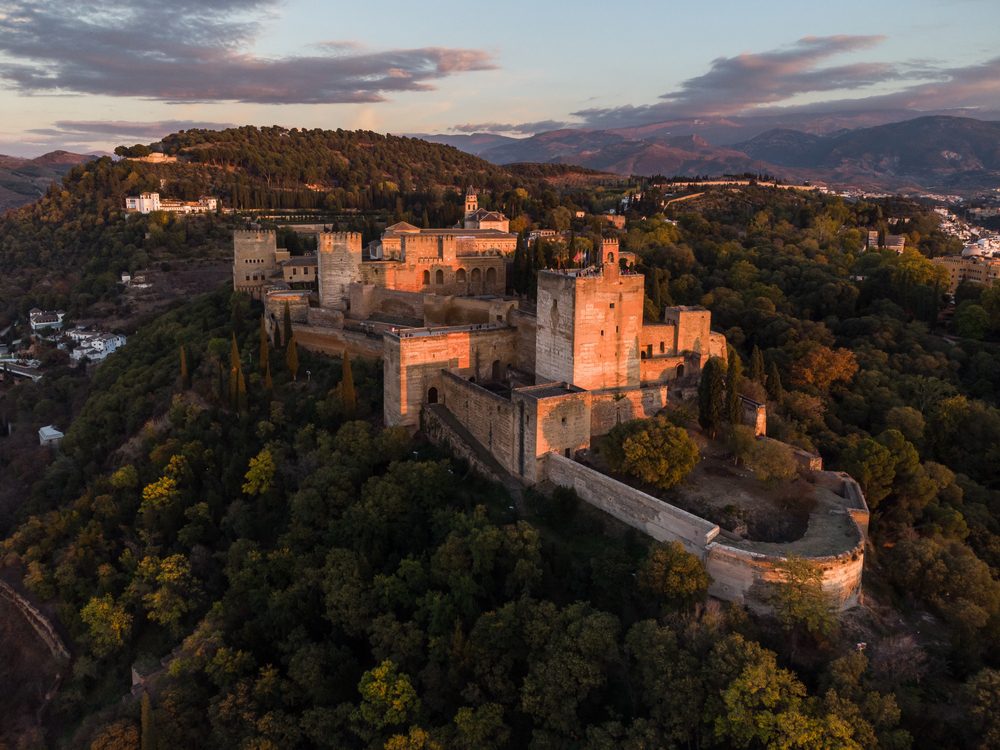 Imagen de granada