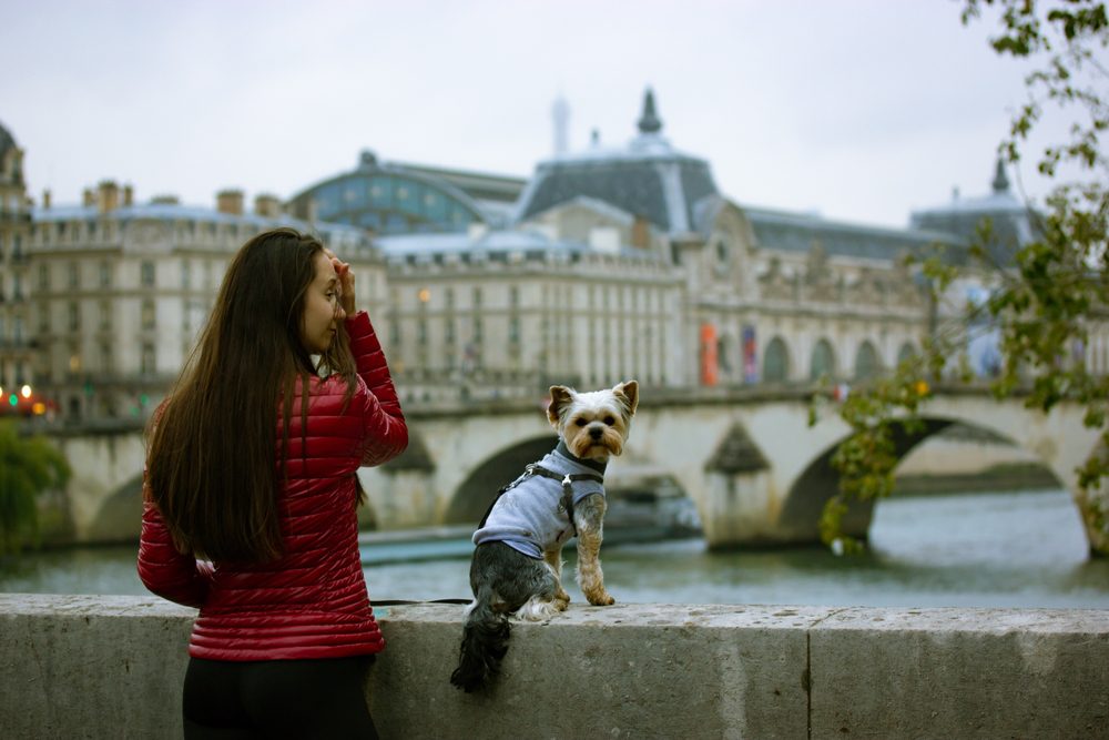 Las ciudades europeas más pet-friendly para viajar con tu mascota Pet friendly países