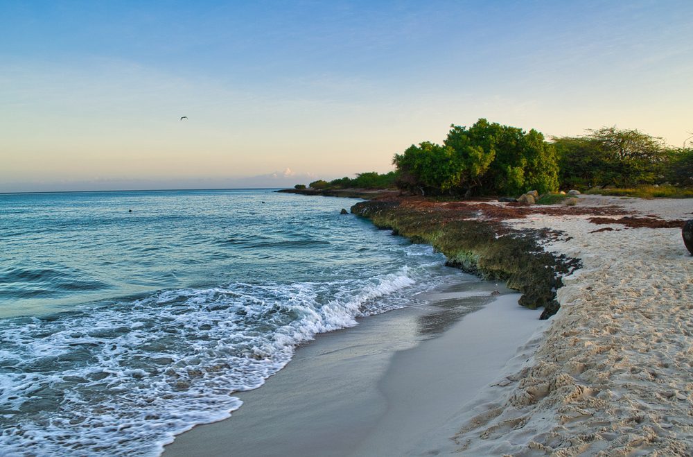 Playa de aruba