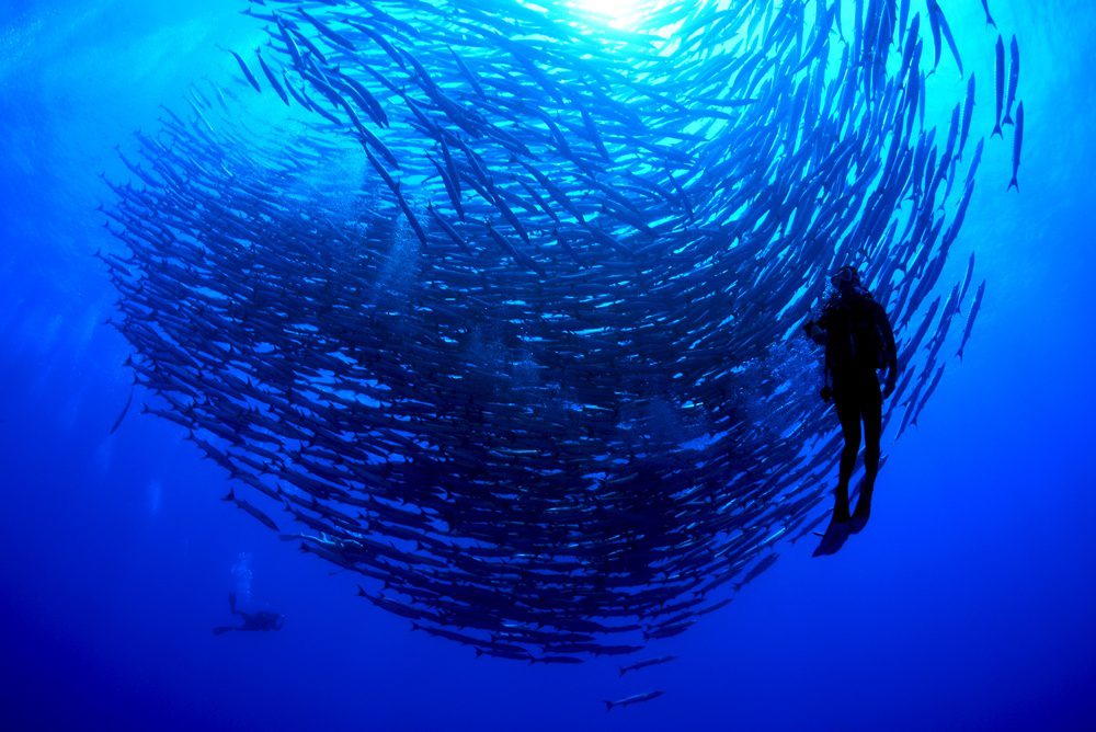 Buceo